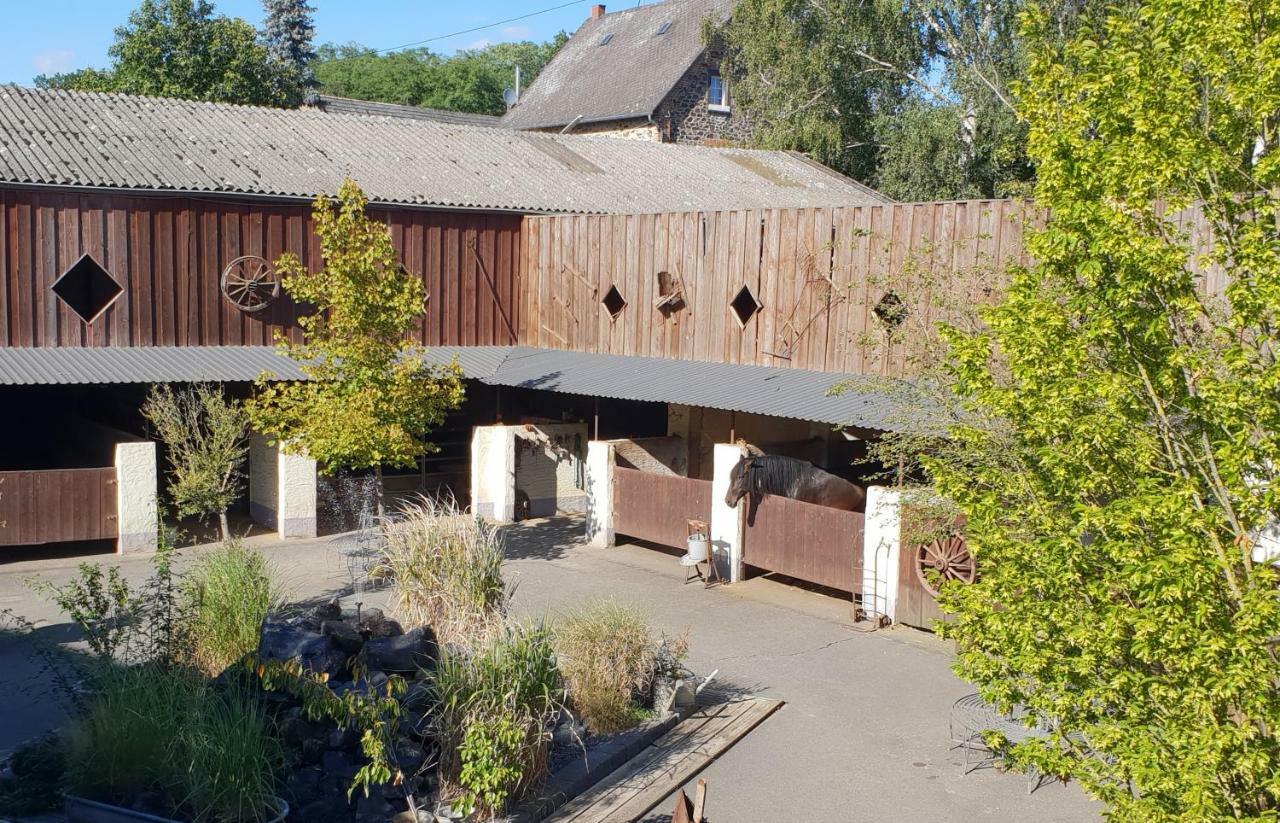 Münstermaifeld Traumwohnung Jolly Jumper Auf Idyllischem Reiterhof Naehe Burg Eltz מראה חיצוני תמונה